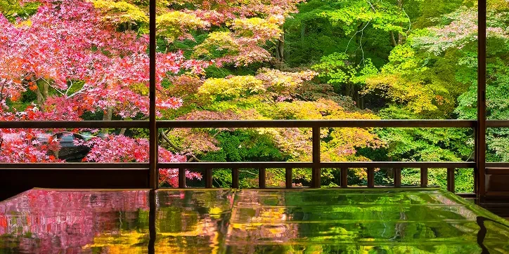 紅葉が映える寺院の風景